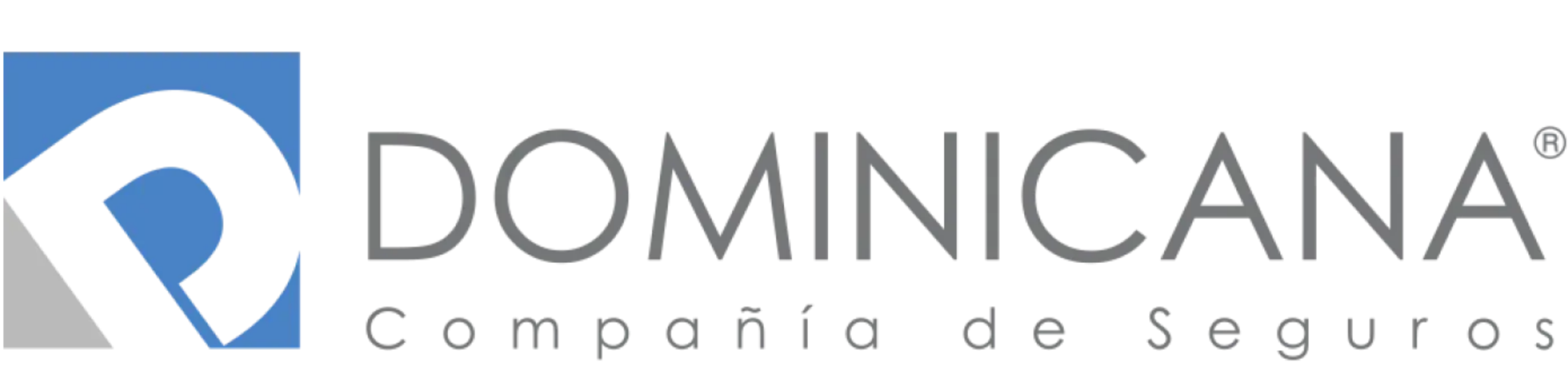 SANTO DOMINGO- PROGRAMA CUMBRE DEL SEGURO (5)